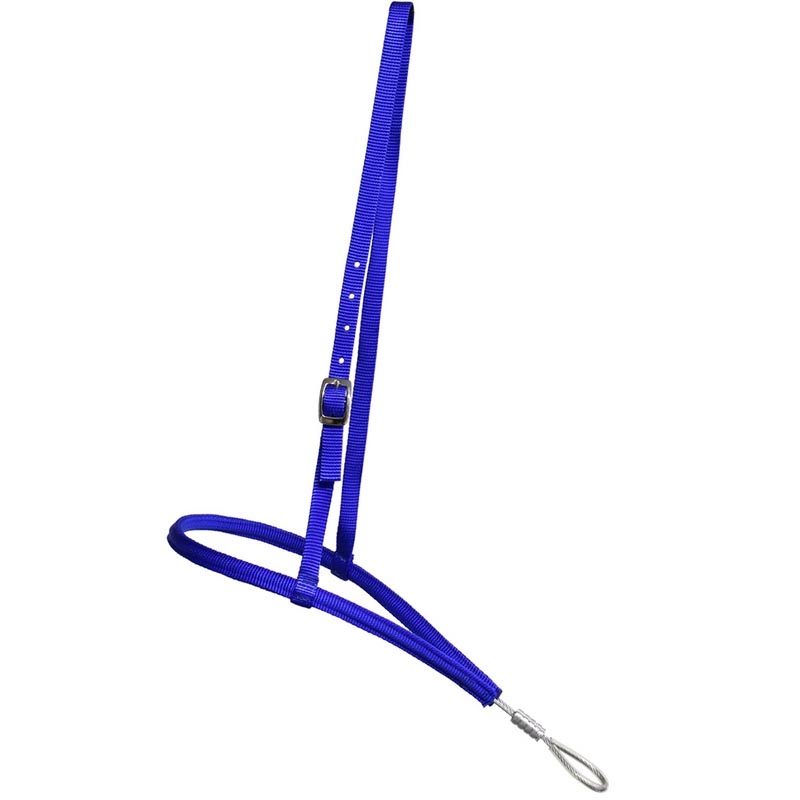 Nylon noseband with stainless steel core