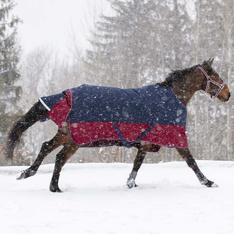 Equi theme tyrex 1200d 300g waterproof turnout rug - 0672