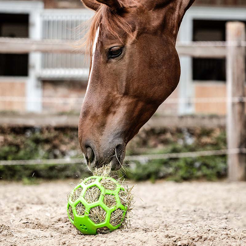 Waldhausen hay ball for horses - 6552