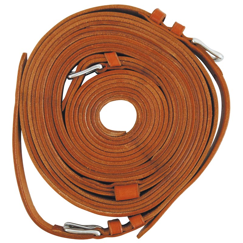 Reins for harness carriage