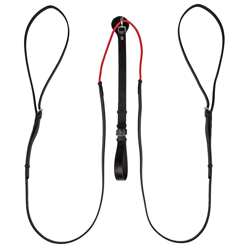 Waldhausen w-trainrein draw reins