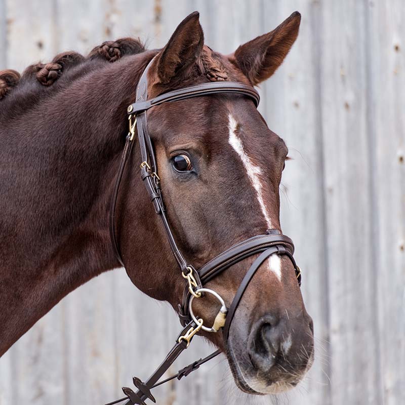 Anatomical bridle horsena in leather model work - 3791