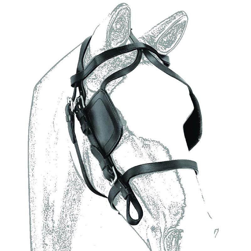Headstall for harness carriage