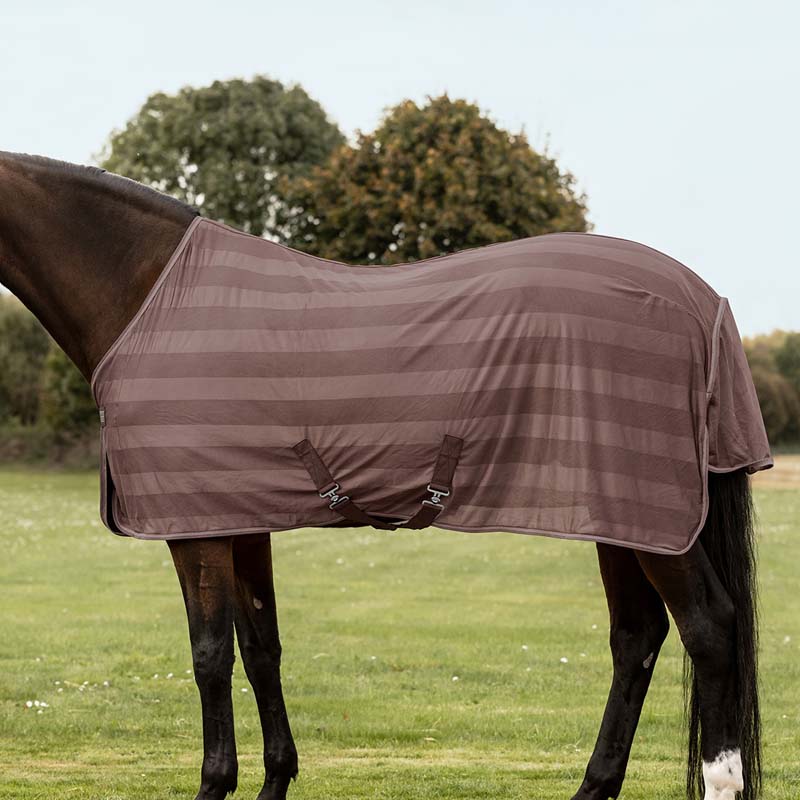 Fine mesh fly sheet for horses line economic - 0400