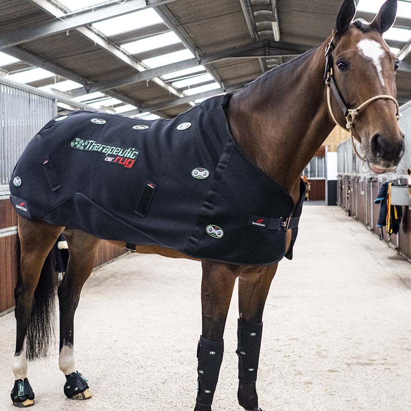 Zandona’ therapeutic air rug magnetic therapy - 0498