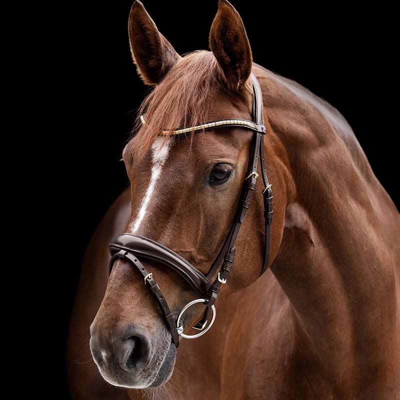 Waldhausen x-line clincher bridle - 3585