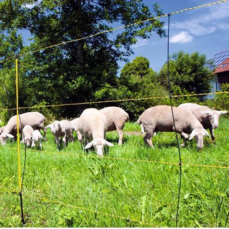 Electric fencing for sheep 50m reel