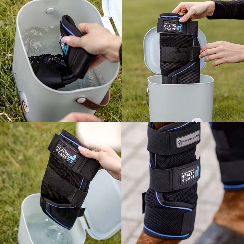 Cooling Leg Wraps Ice Layer for horses Waldhausen Health + Care  - 1870