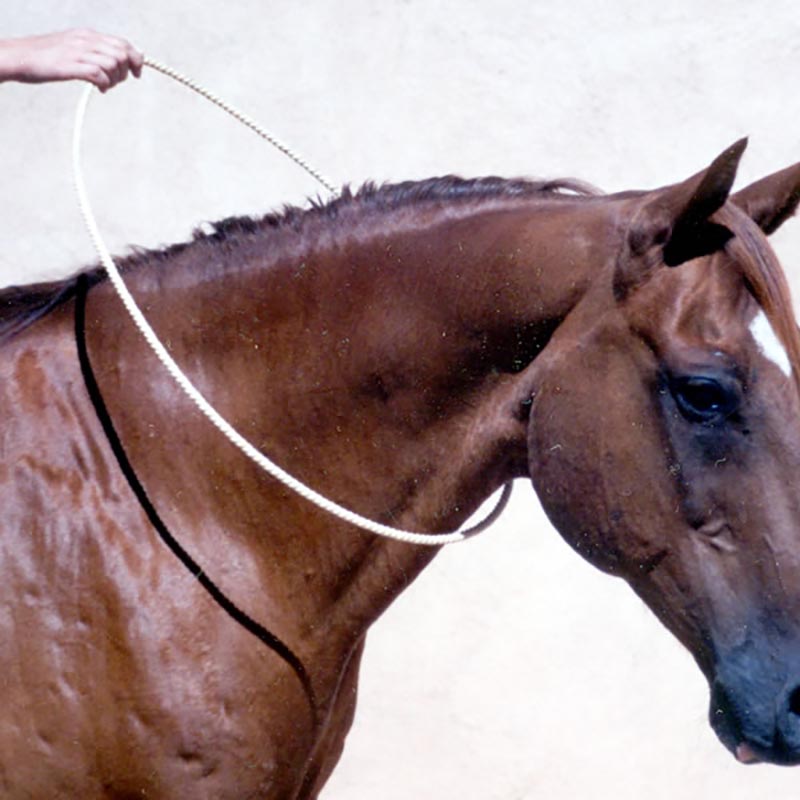 Natural Horsemanship neck ring adjustable reins - 0375