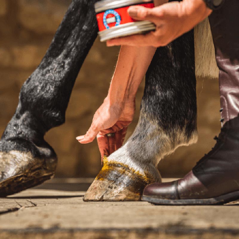 Cornucrescine hoof ointment ml 500 - 0841