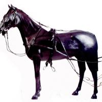 LEATHER HARNESS FOT TROTTERS