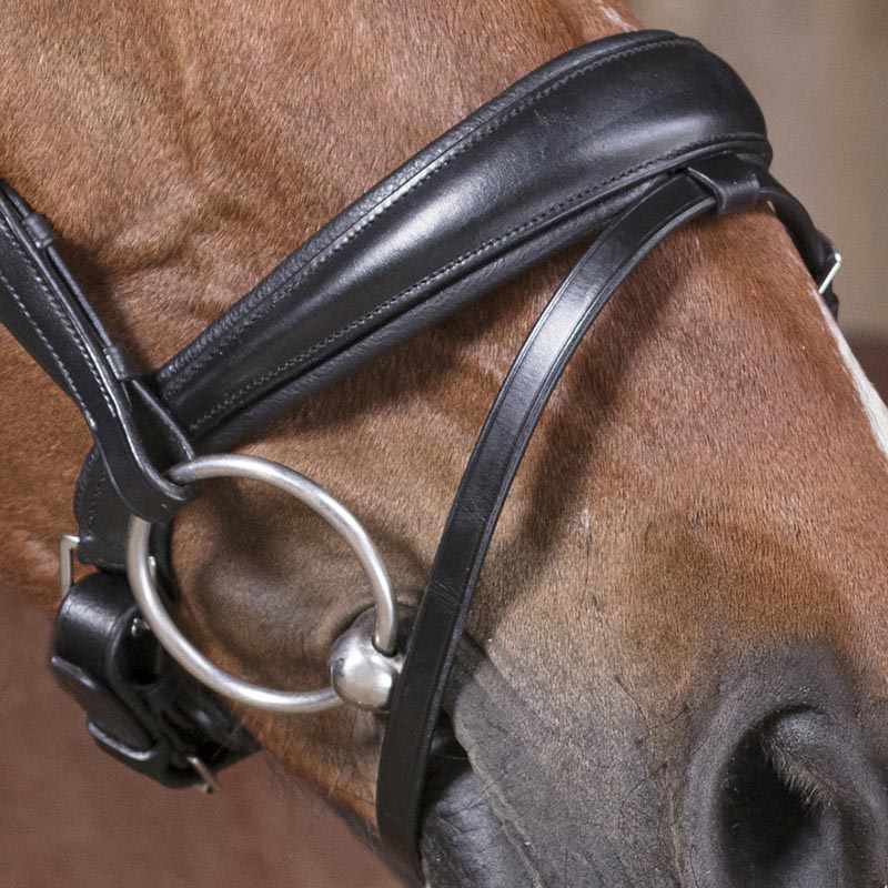 English headstall excelsior mod. diamond with rubber reins - 2341