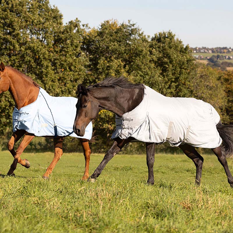 Anti-flies horse rug model protect - 0432