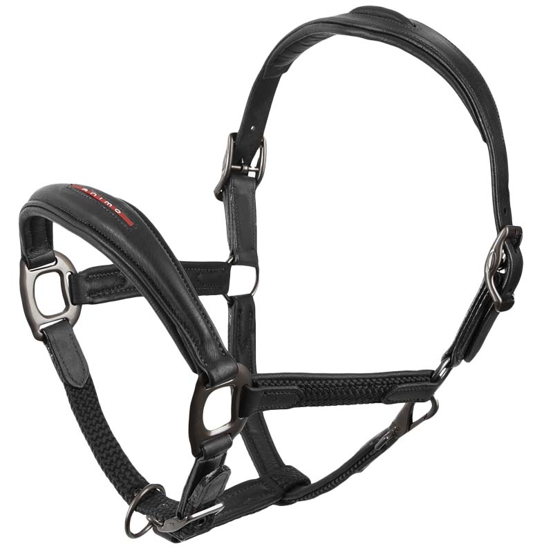 Halter in real leather animo - 0346