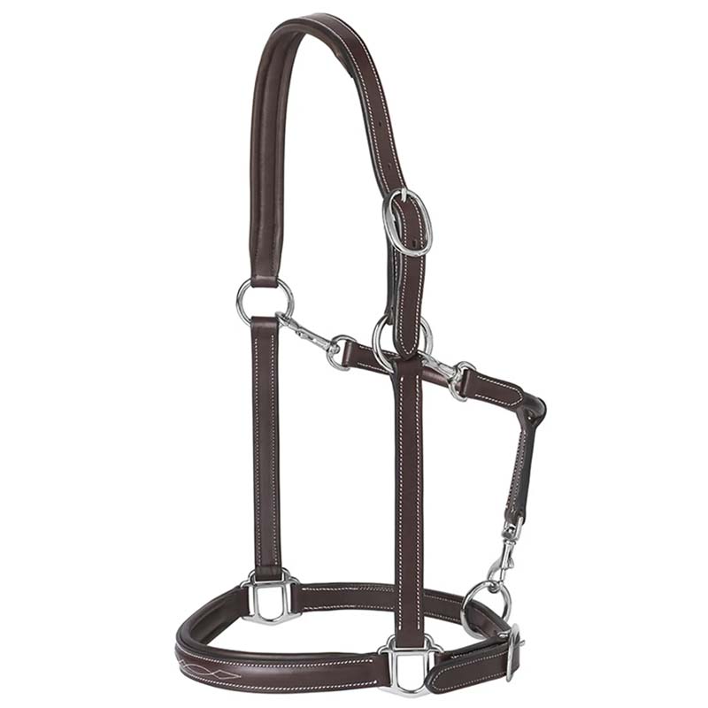 Prestige leather halter e53