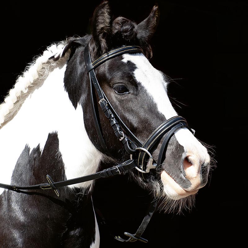 English bridle with decorative seams complete canvas reins - 3792