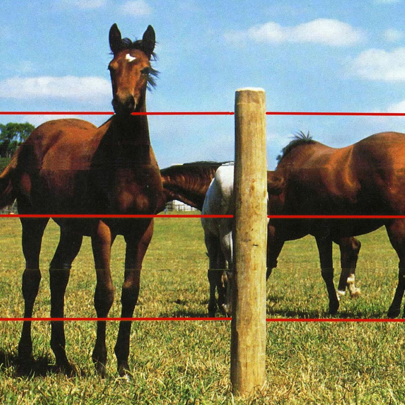 Elettric fence with accessories