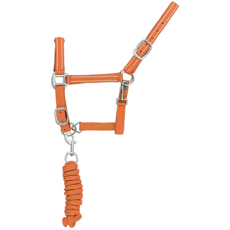 Reflective reinforced nylon halter with lead