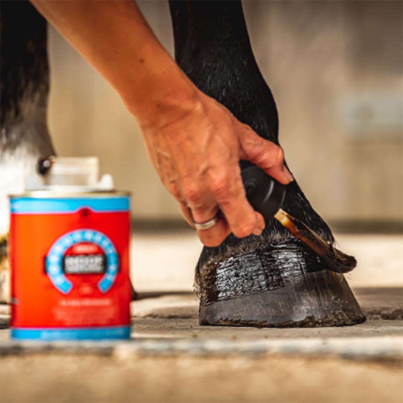 Cornucrescine daily hoof dressing ml 500 - 0843
