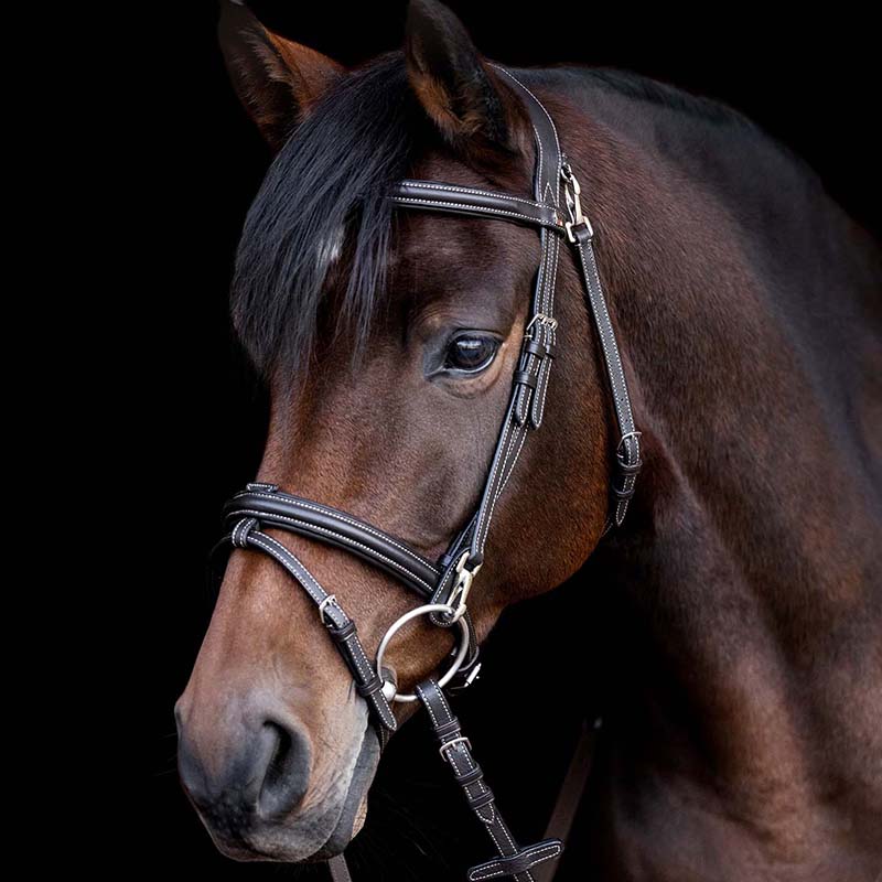 Waldhausen work x-line bridle - 2333