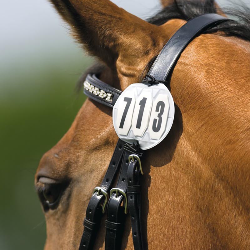 Bridle holders three digits plate for starting