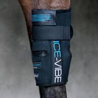 FRONT KNEE HORSEWARE ICE-VIBE KNEE WRAP