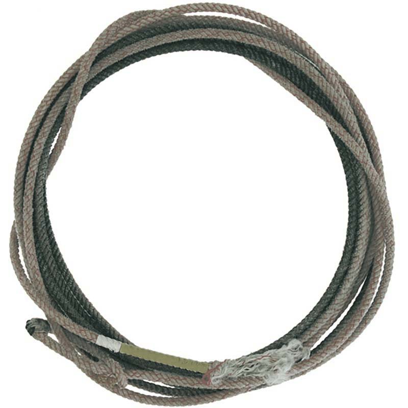 Professional USA lasso Pool’s