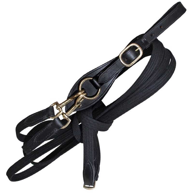 Driving reins with snaps and connection to girth
