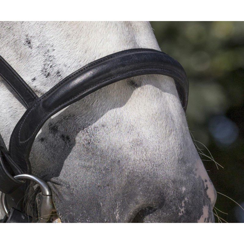 Draught horse complete bridle for heavy horse - 2319