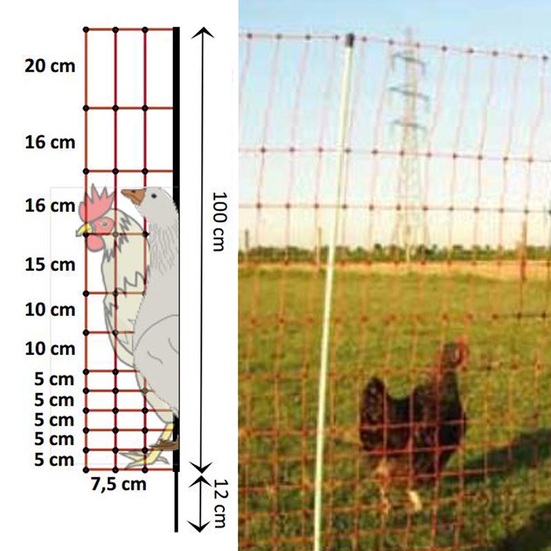 Electrified network for chickens and geese reel 50 mt