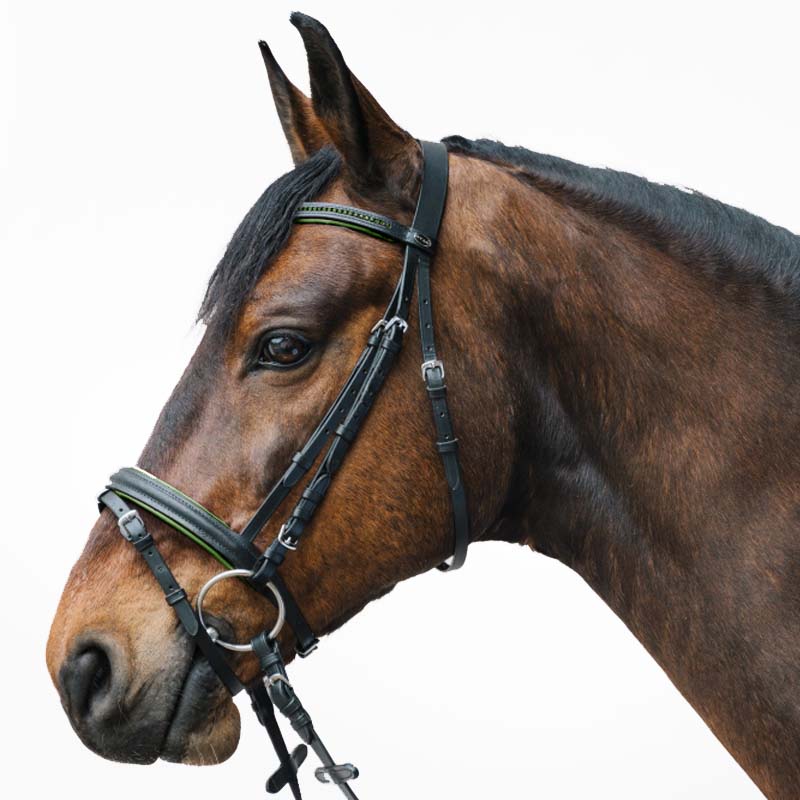 English bridle star diamond with rhinestone various color - 2330