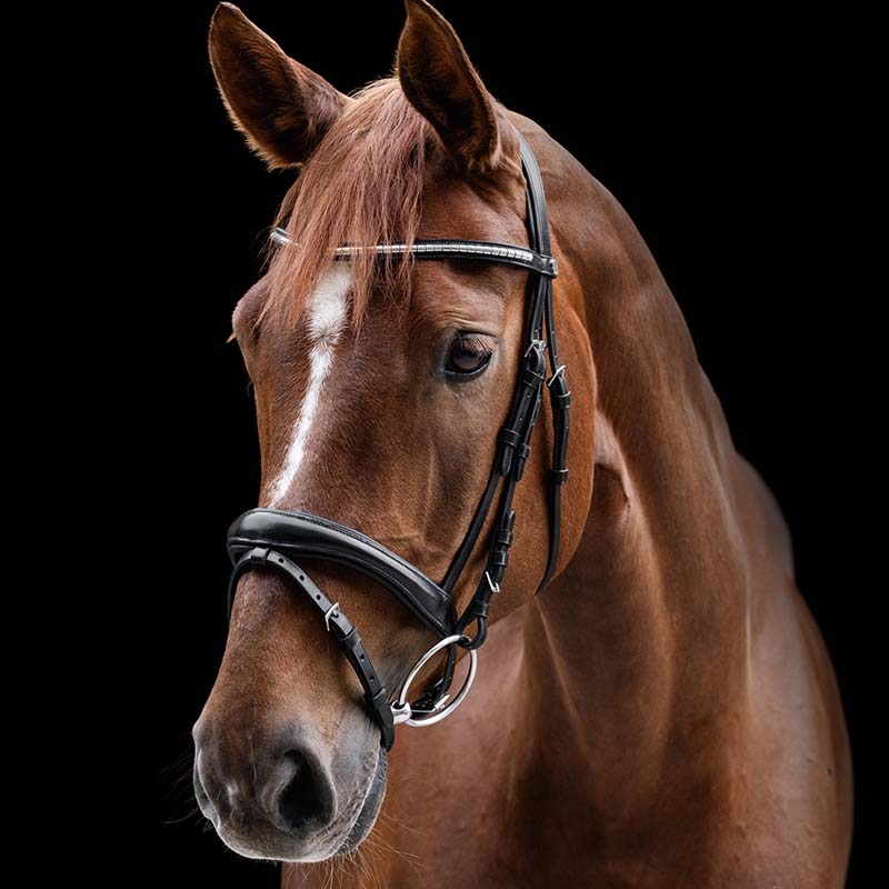 Waldhausen x-line clincher bridle - 3585