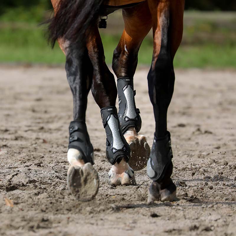 Zandonà carbon chic fetlock boots - 1745