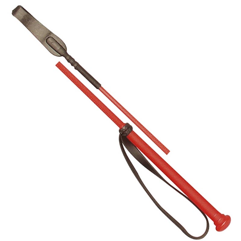 Whip whit leather plaited handle