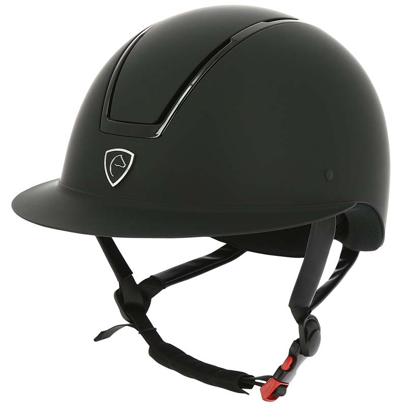 Equitheme helmet with glossy inserts