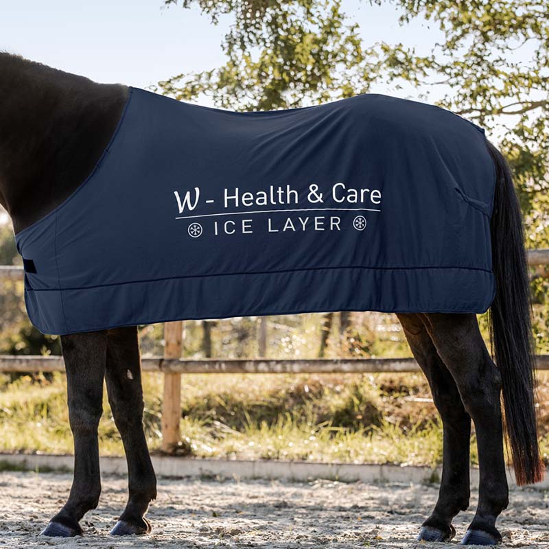 Summer cooling horse blanket ice layer - 0470