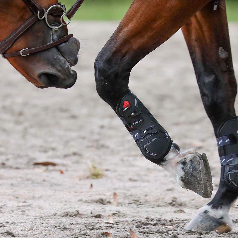 Zandonà carbon pro tendon boots - 1725