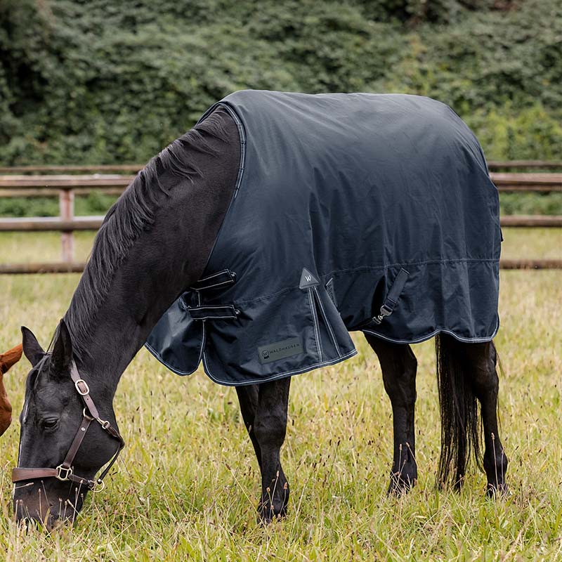 Waterproof Turnout Rug ARCTIC 600D, 300 g padding - 0393
