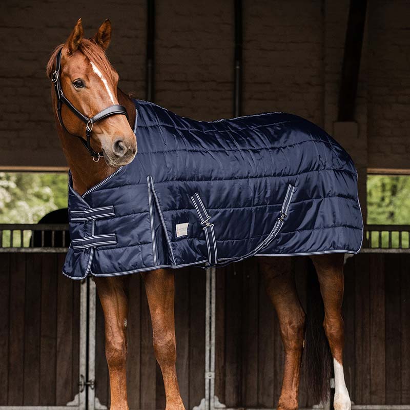 Stable rug 100 gr with thermal padding - 0272