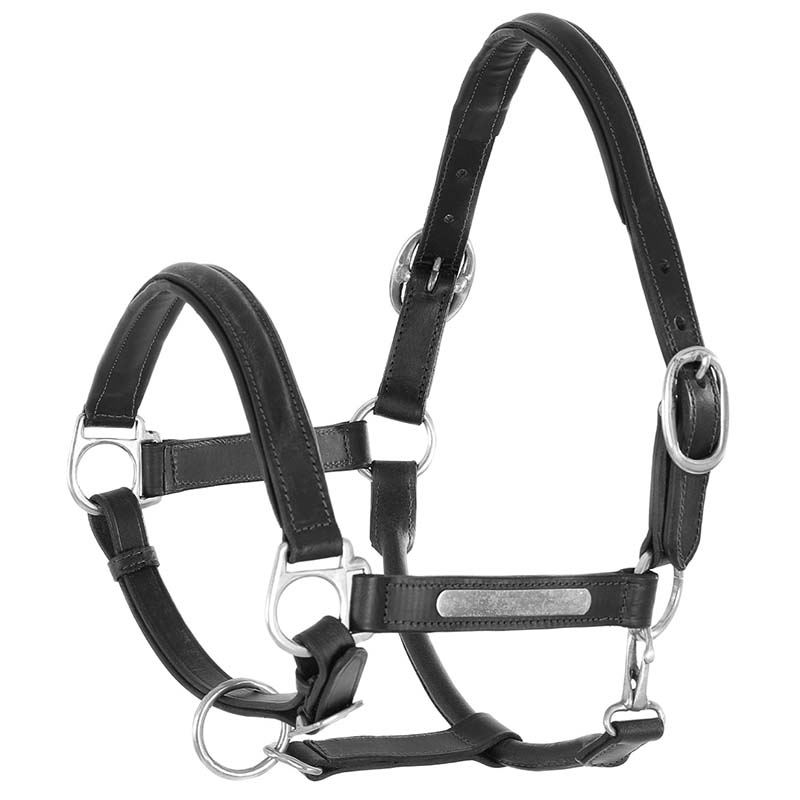 Adjustable rawhide halter - 0300