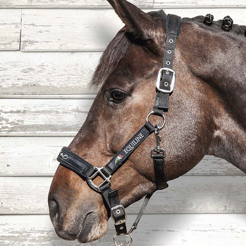 Equiline nylon halter with double settings and rope - 0349