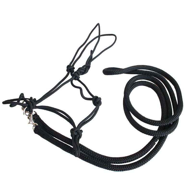 Iknotted rope and bridle and reins with snap-hook - 4349