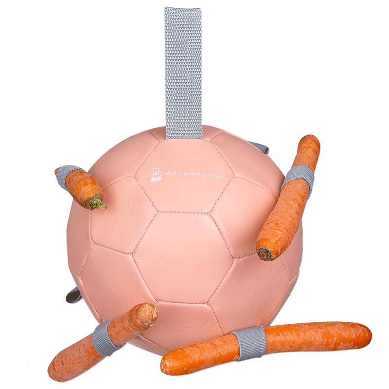 Snack ball game for horses - 6384