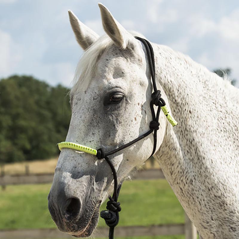 Color knots halter and rope for natural horsemanship - 0341