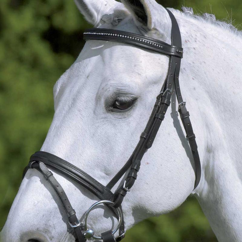 English bridle star diamond with rhinestone various color - 2330