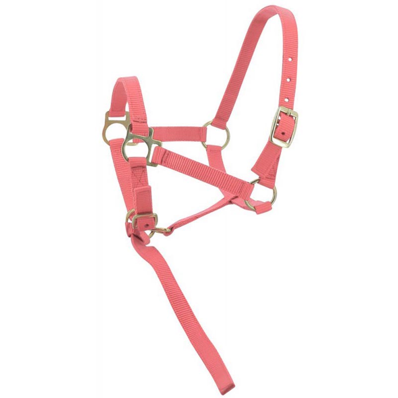 Adjustable halter for colt and foal complete with small rope - 0343