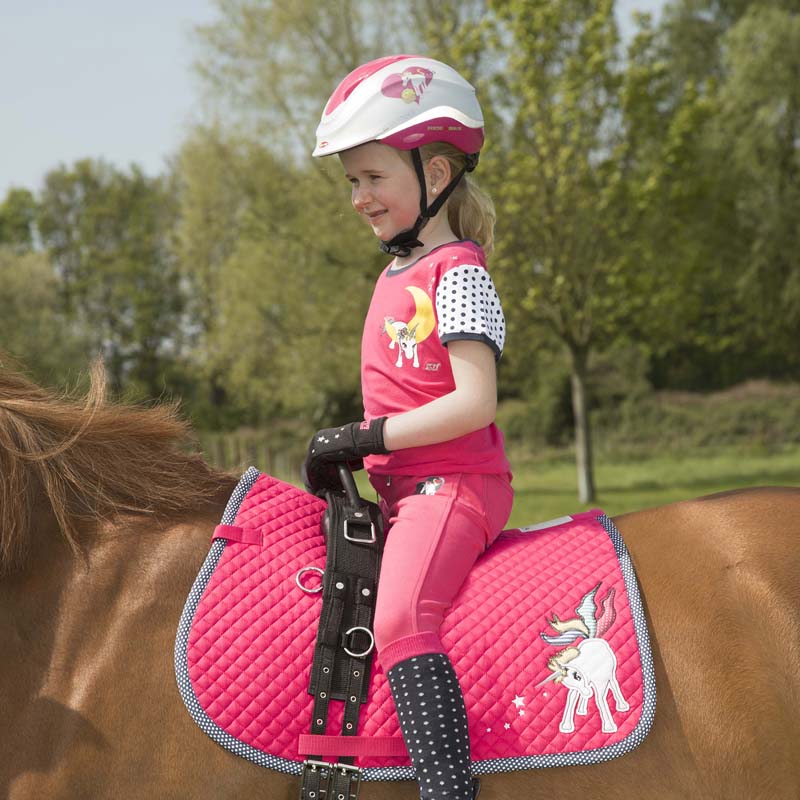 Vaulting riding roller and horse therapy with 1 single handle - 0934