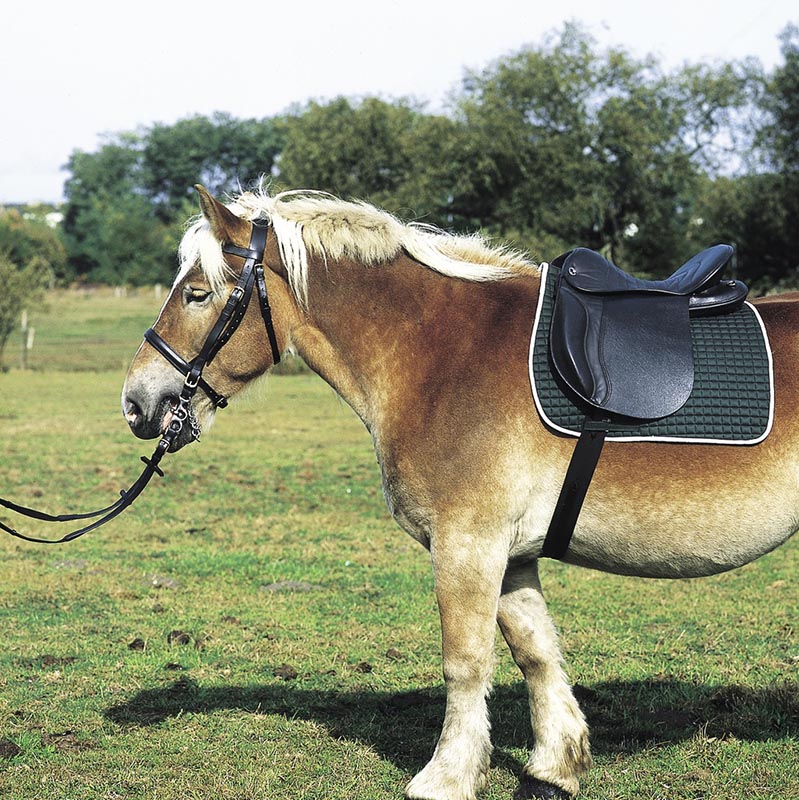 Saddle trekking with large wither for heavy draught horse - 2794