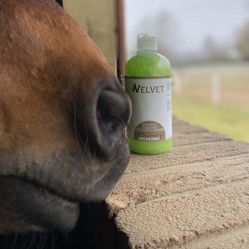 Mane and tail shampoo balm arcafarm velvet - 0870