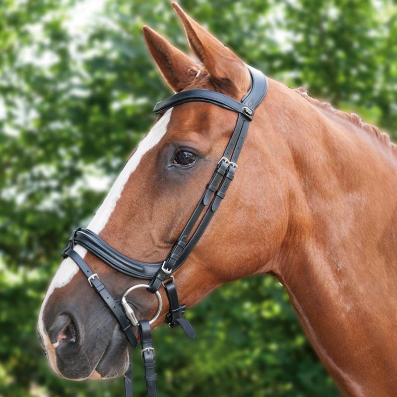 English bridle complete with reins anatomic hkm padded leather - 3797